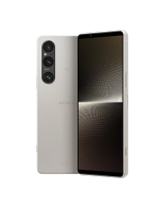 Sony Xperia 1 V XQ-DQ72 12/256 Platinum Silver